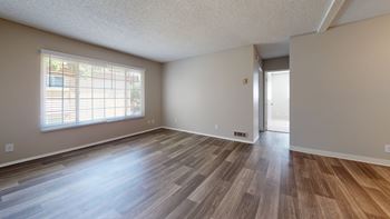 Carpet and vinyl flooring